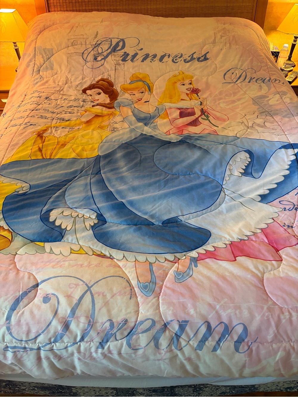 Vintage Disney Princess Comforter- Twin